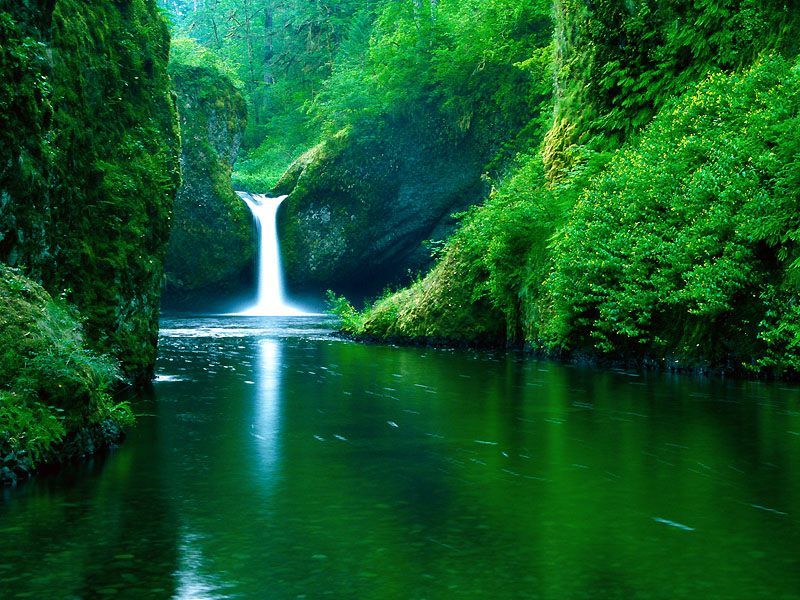 Punch Bowl Falls, Eagle Creek Wilderness Area, Columbia River Gorge,Oregon